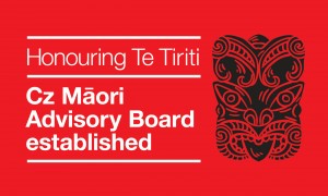 20215 CZ Treaty of Waitangi Mailchimp Banner